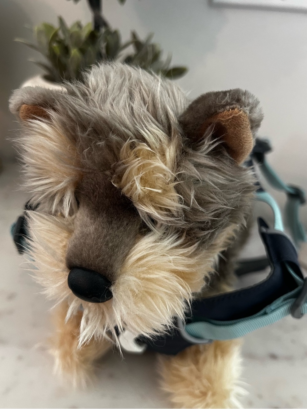 Ruffwear Front Range Dog Harness Small Blue Gray Adjustable Outdoor Hiking $48 - Picture 7 of 11